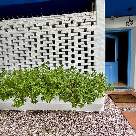Puerta Azul Daire Punta del Este Dış mekan fotoğraf